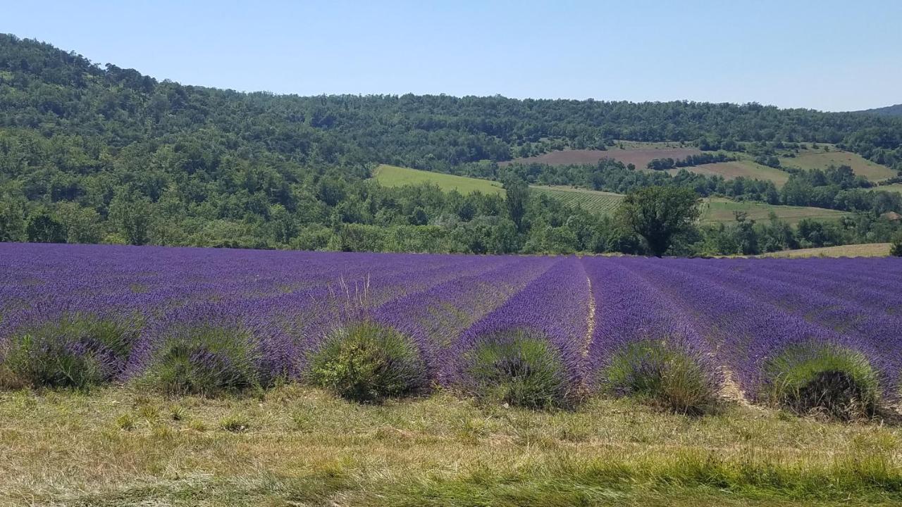 Hotel La Fontaine Au Loup à Saint-Maurice-sur-Eygues Extérieur photo